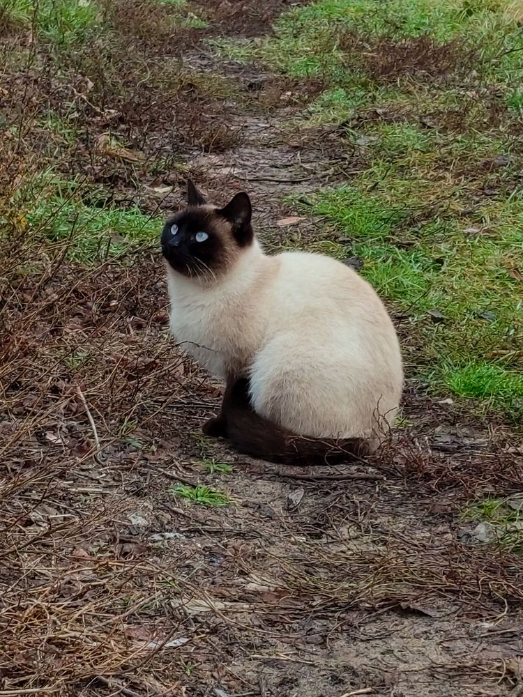 Photograph by Ирина Дегтярева