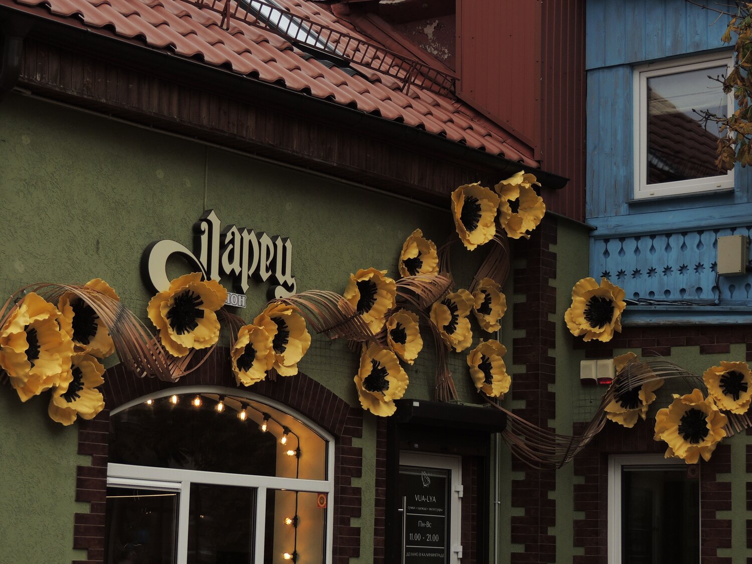 Photo #12804320