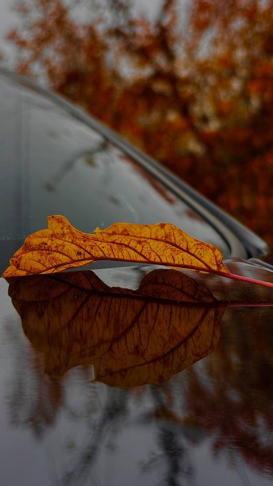 Photograph by Марина Тихонова