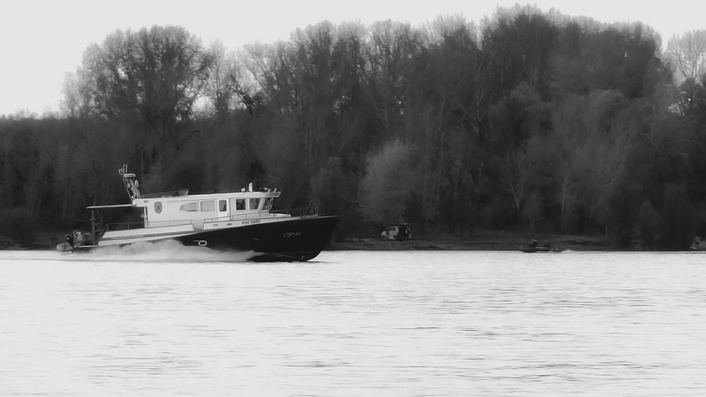 Фотография автора Елена Плешкова