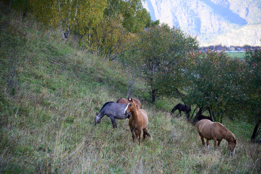 Photograph by Михаил Рогачев