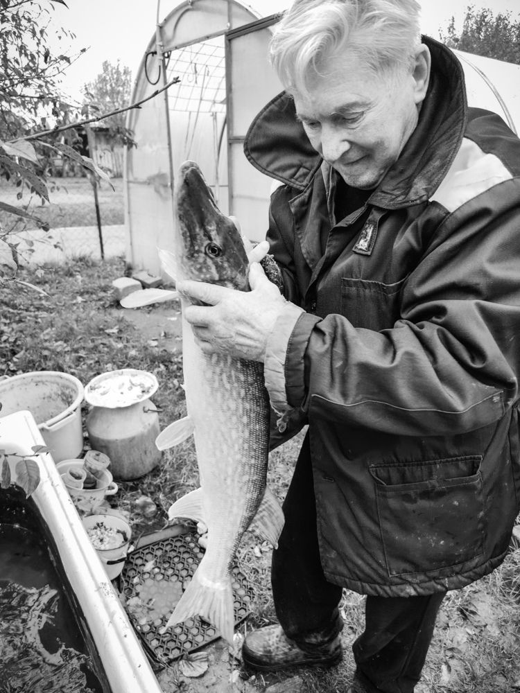 Фотография автора Татьяна Мишкина