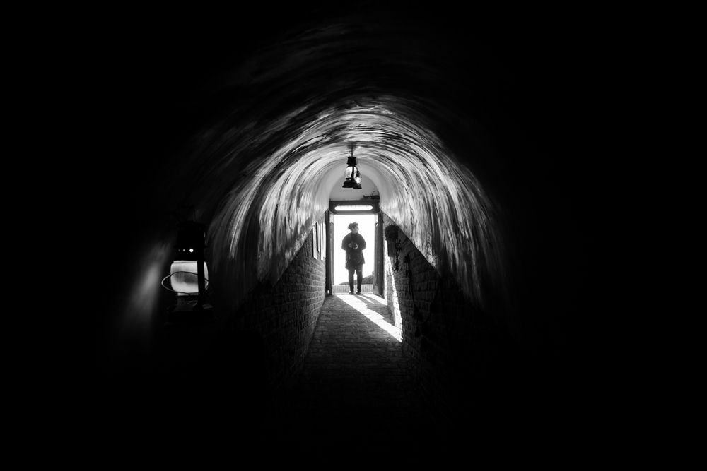 Photograph by seyed mostafa yousefi