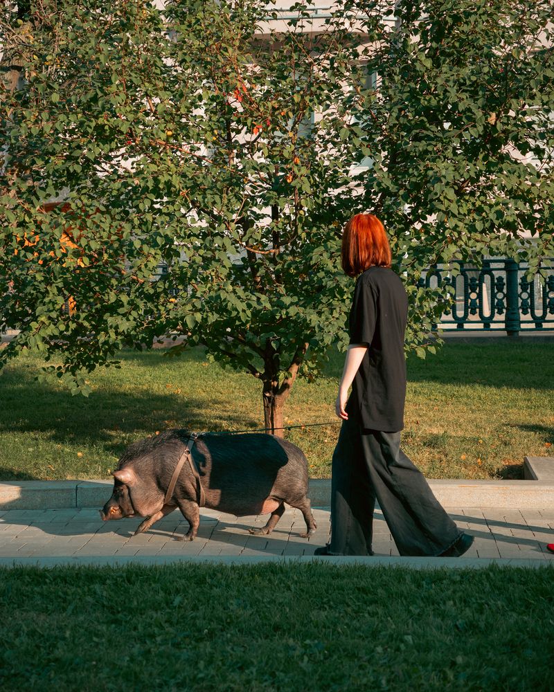 Photograph by Артем Гатин