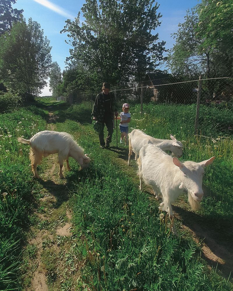 Photograph by Артем Гатин