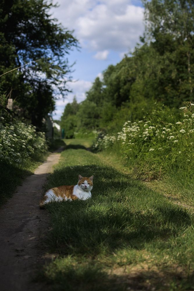 Фотография автора Екатерина Свиридова