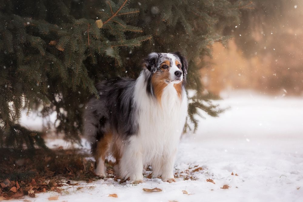 Момент тишины...