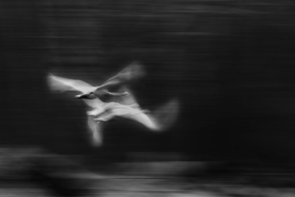 Фотография автора Гарус Виктория