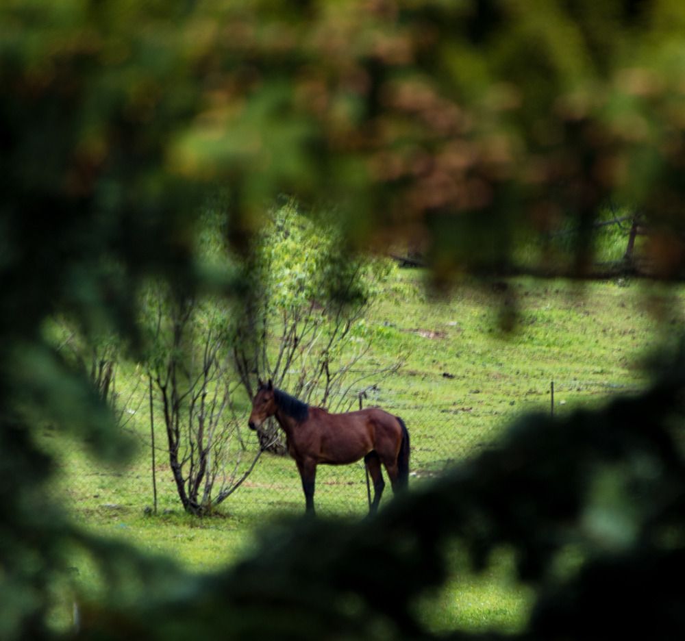 Photograph by Даниил Пузаков