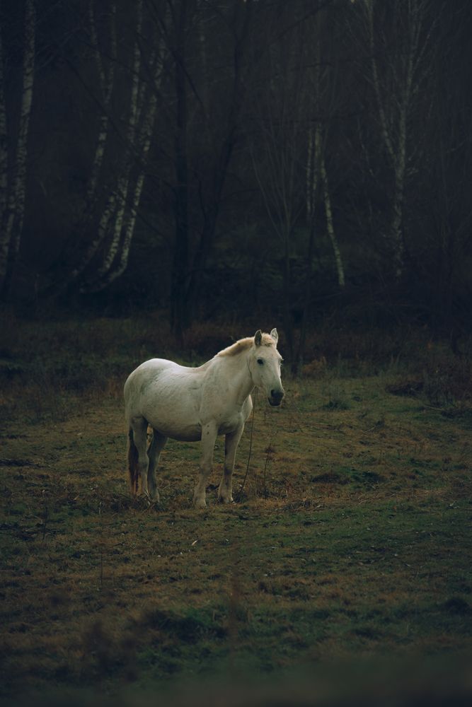 Photograph by Denis Koshkin