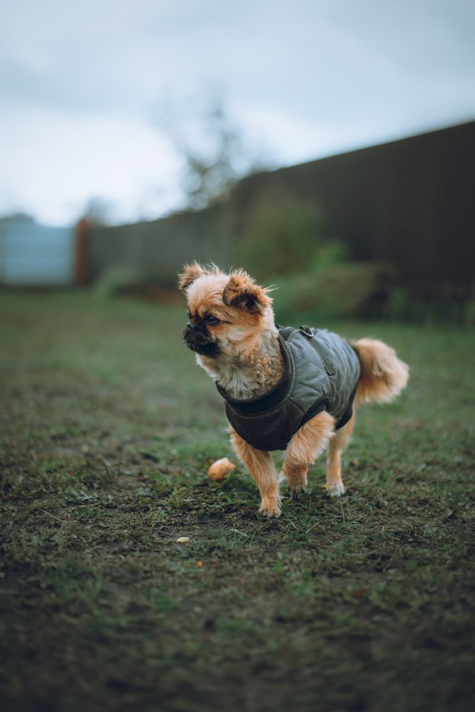 Photograph by Denis Koshkin