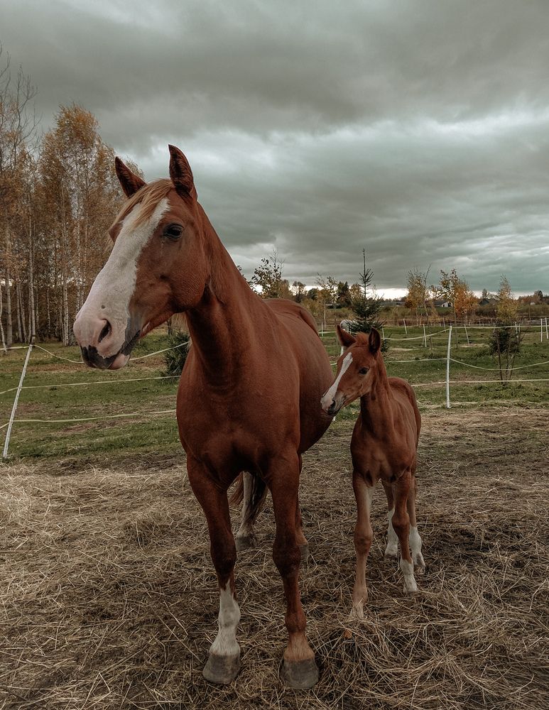 Photograph by Татьяна Олефиренко