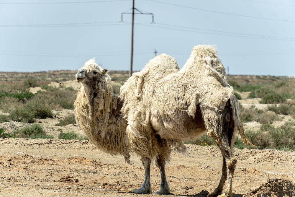 Photograph by Андрей Соколов