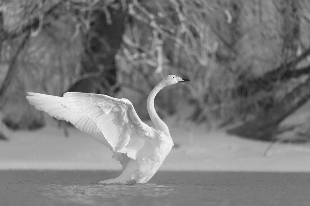 Фотография автора Гарус Виктория
