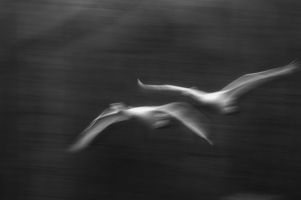 Фотография автора Гарус Виктория