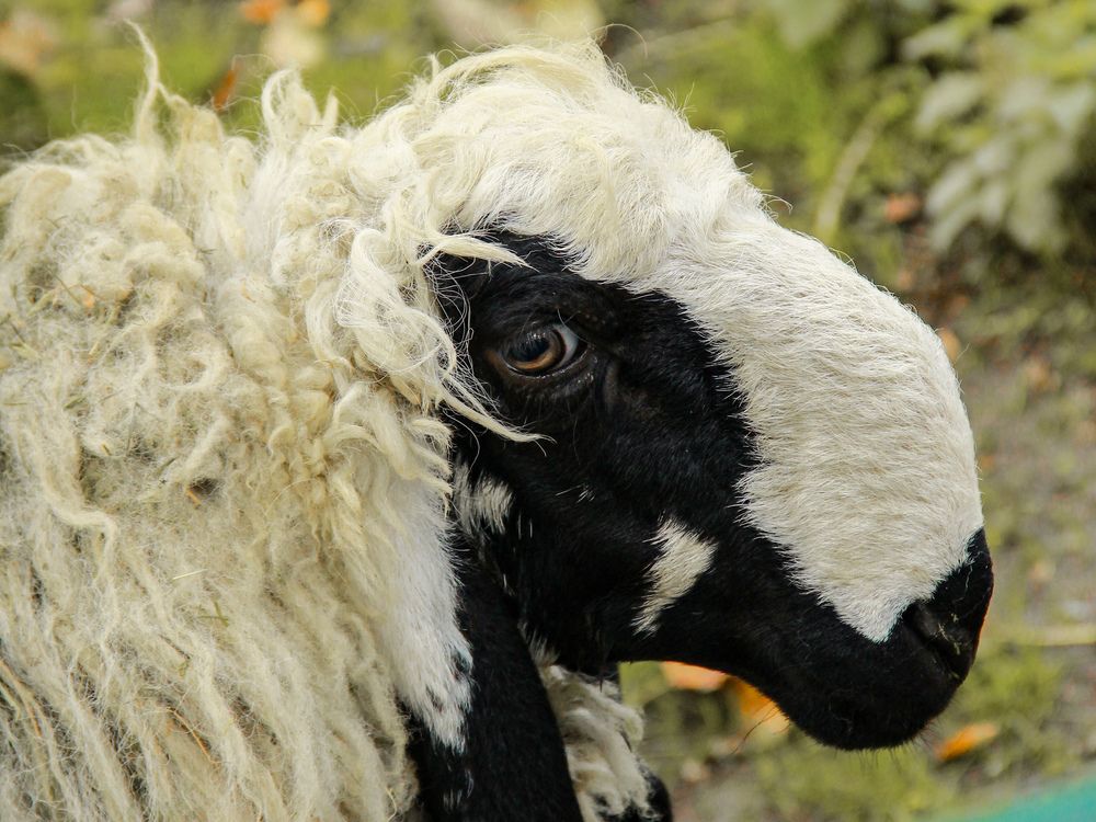 Photograph by Марина Фомичева