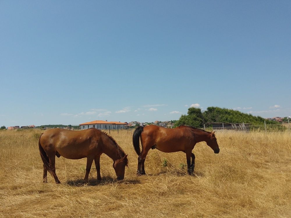 Фотография автора Liliya Slavcheva