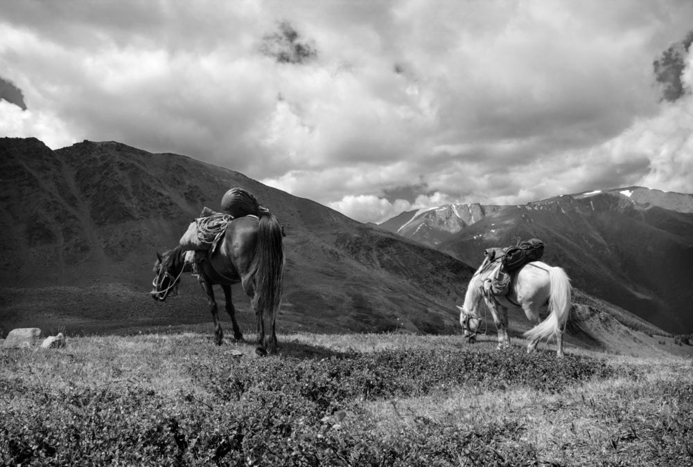 Фотография автора Кухта Мария