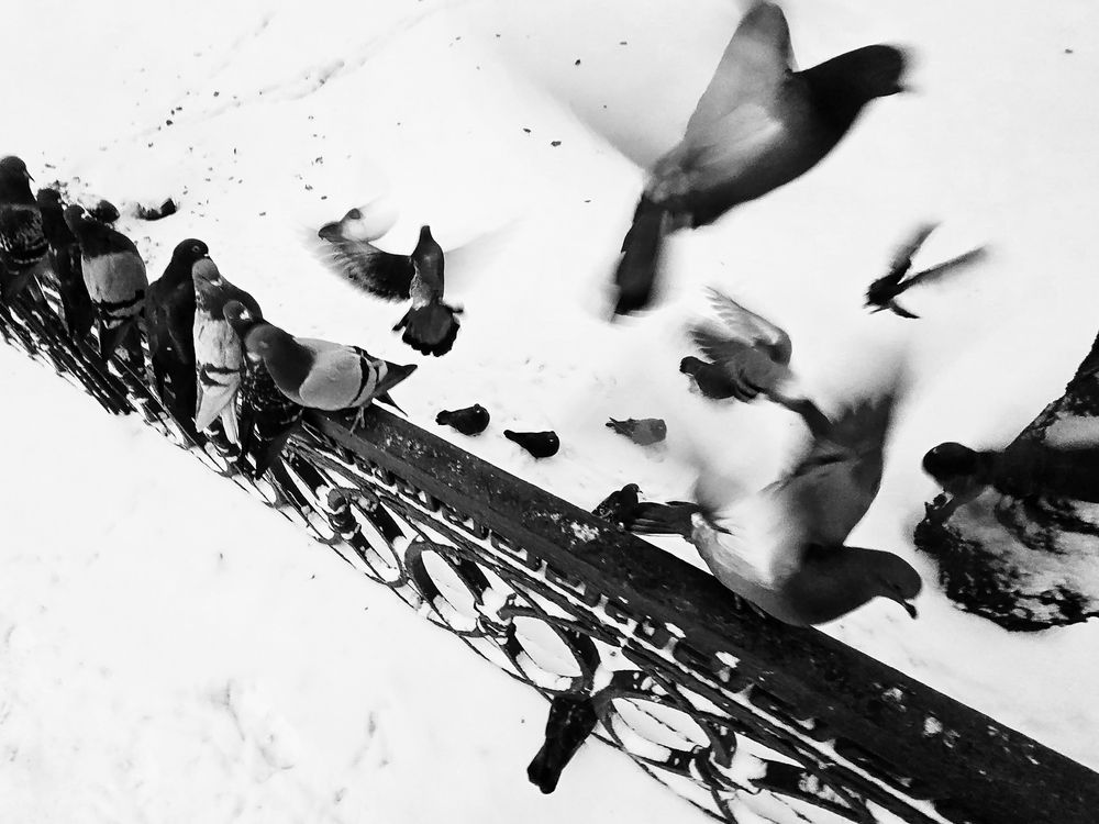 Photograph by Людмила Аксенова