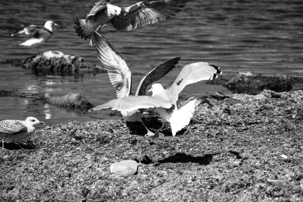 Photograph by Ирина Дмитриенко