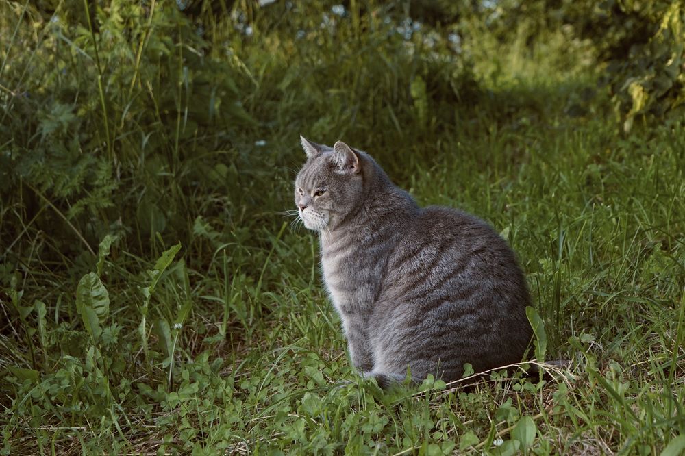 Photograph by Лена Максимкина