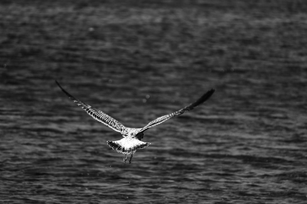 Photograph by Ирина Дмитриенко