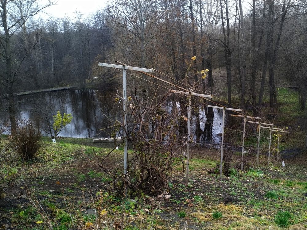 Photograph by Игорь Шевердин