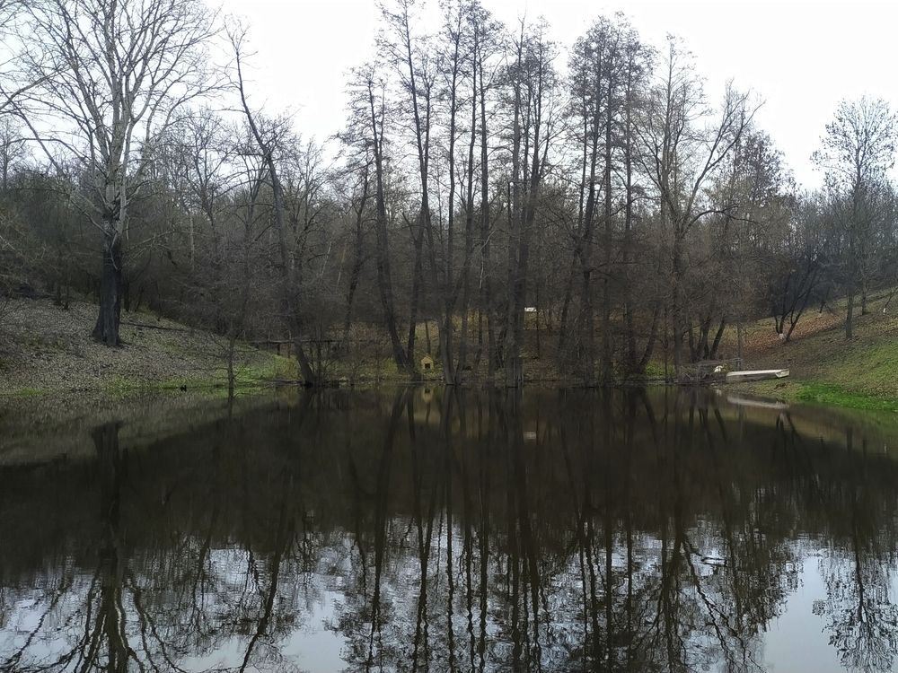 Photograph by Игорь Шевердин
