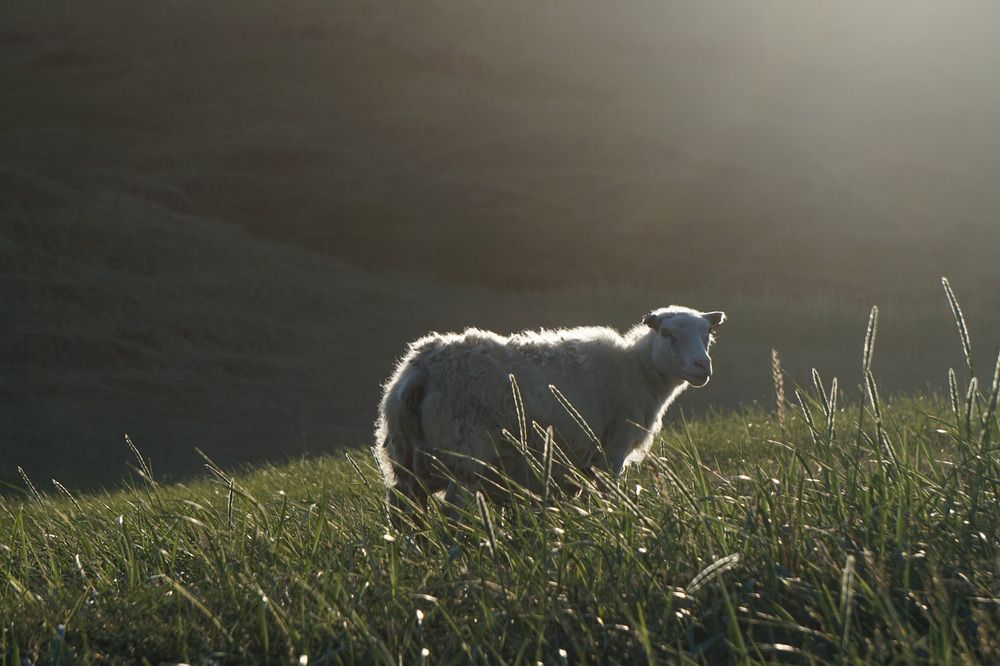 Photograph by Лена Максимкина