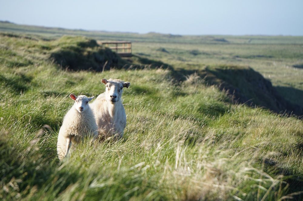 Photograph by Лена Максимкина