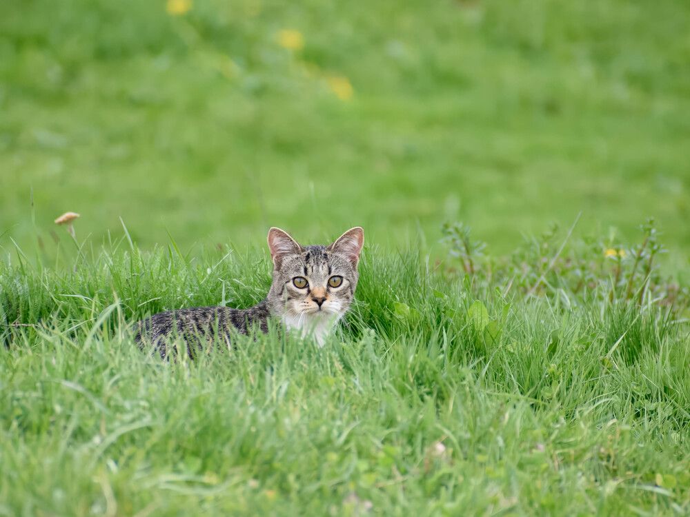 Photograph by Евгений Переведенцев