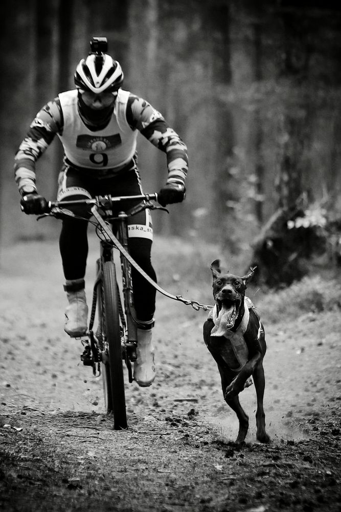 Фотография автора Елена Кириллова