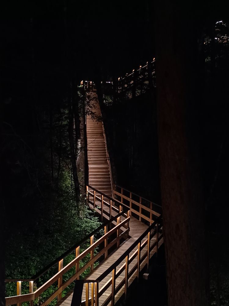 Photograph by Ольга Крит