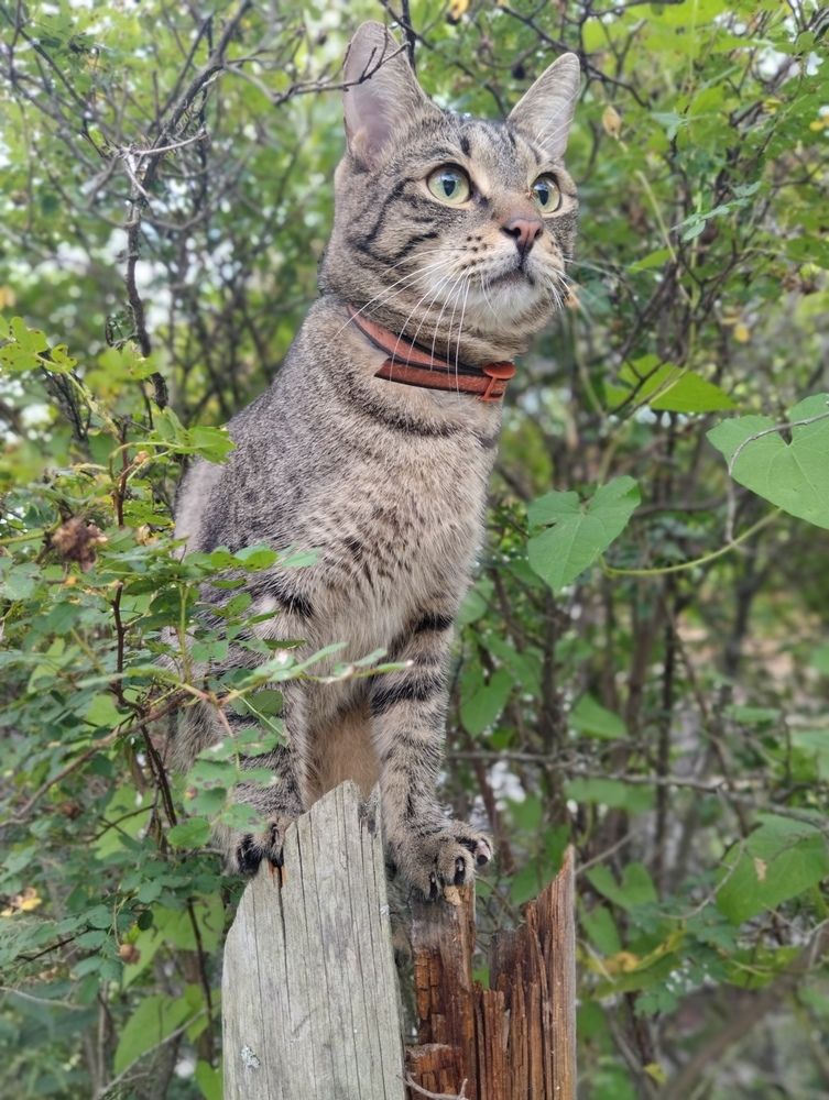 Photograph by Елена Малкова