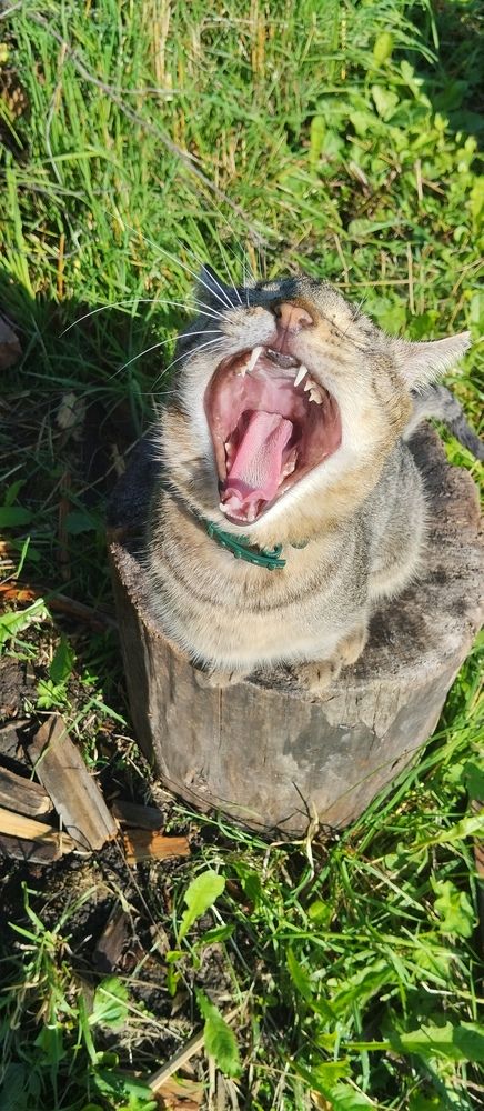 Photograph by Елена Малкова