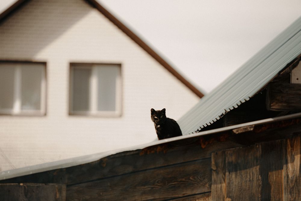 Photograph by Логинова Крис