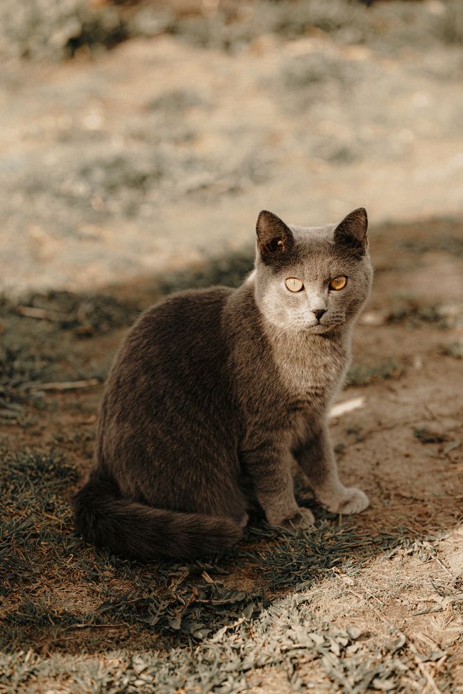 Photograph by Логинова Крис