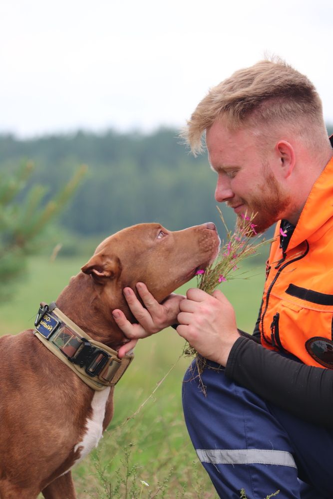 Photograph by Алексейчик Дмитрий