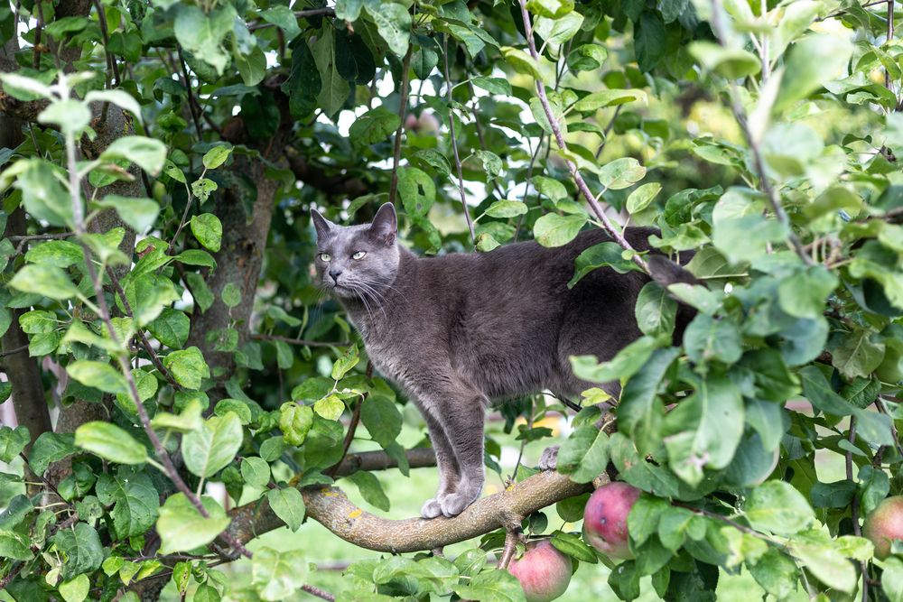Photograph by Вера Наземкина - Соколова