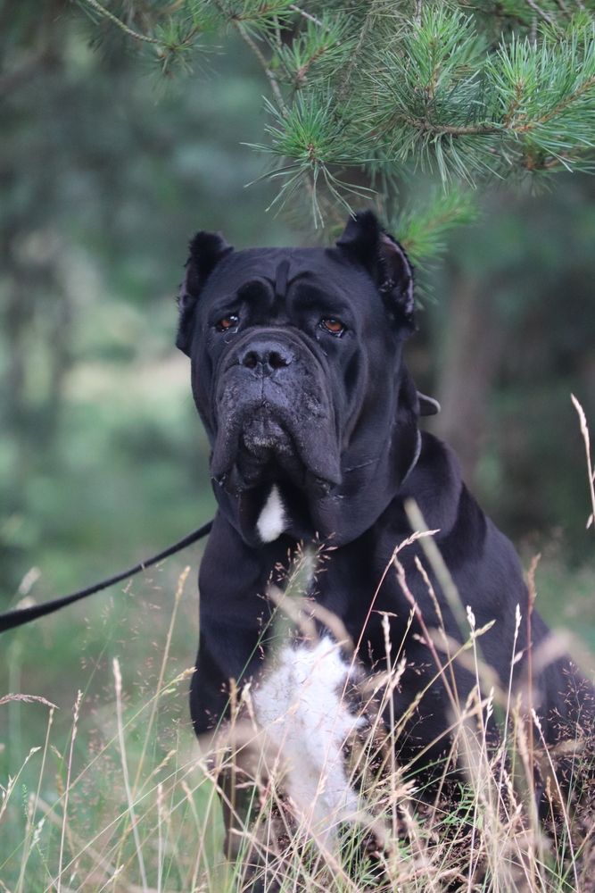 Photograph by Алексейчик Дмитрий