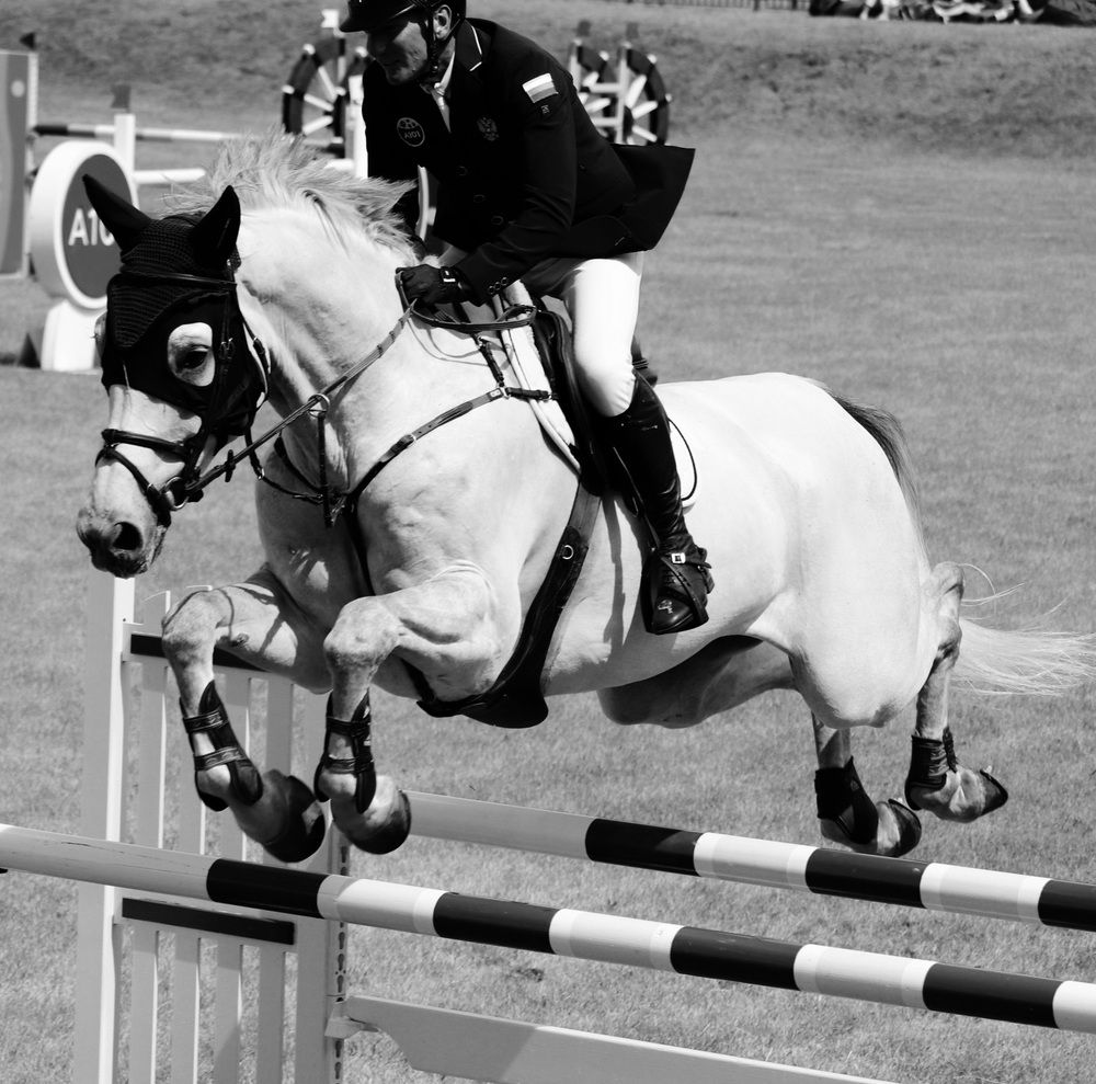 Photograph by Алексейчик Дмитрий