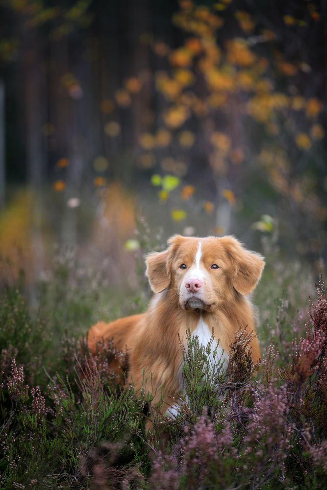 Photograph by Андрей Ершов