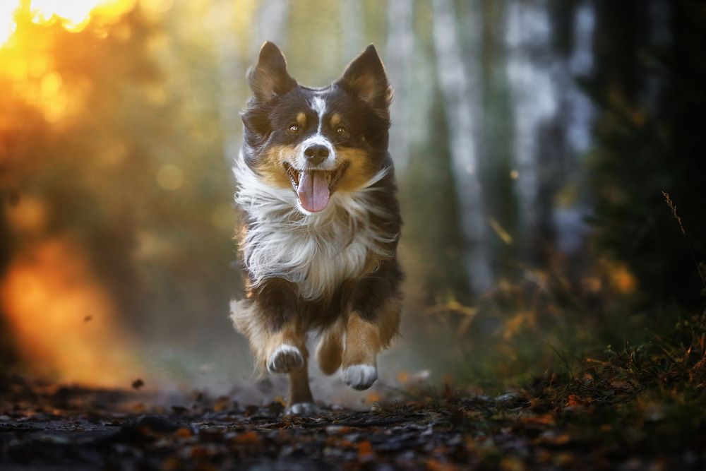 Photograph by Андрей Ершов