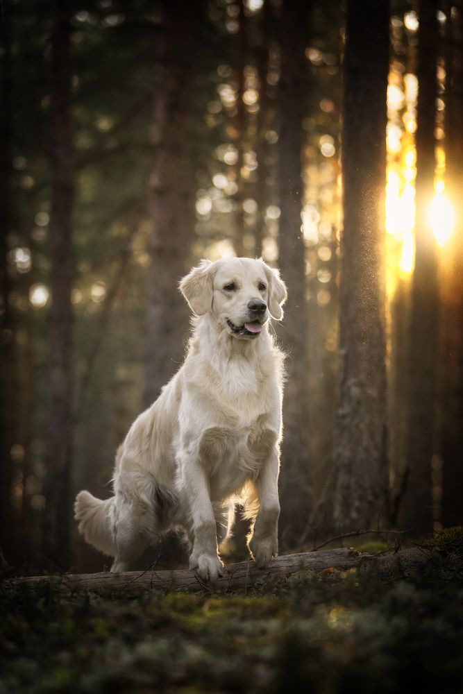 Photograph by Андрей Ершов