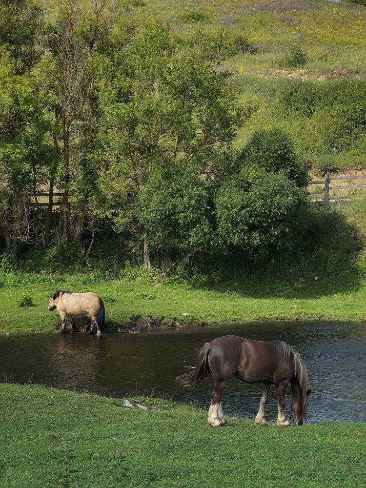 Photograph by Виктория Селютина