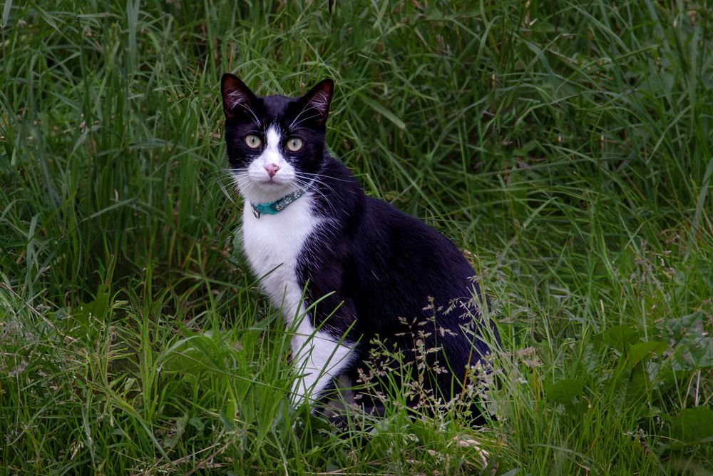 Photograph by Александр Новиков