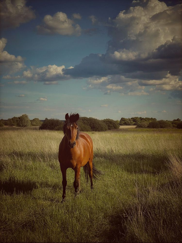 Photograph by Виктория Селютина
