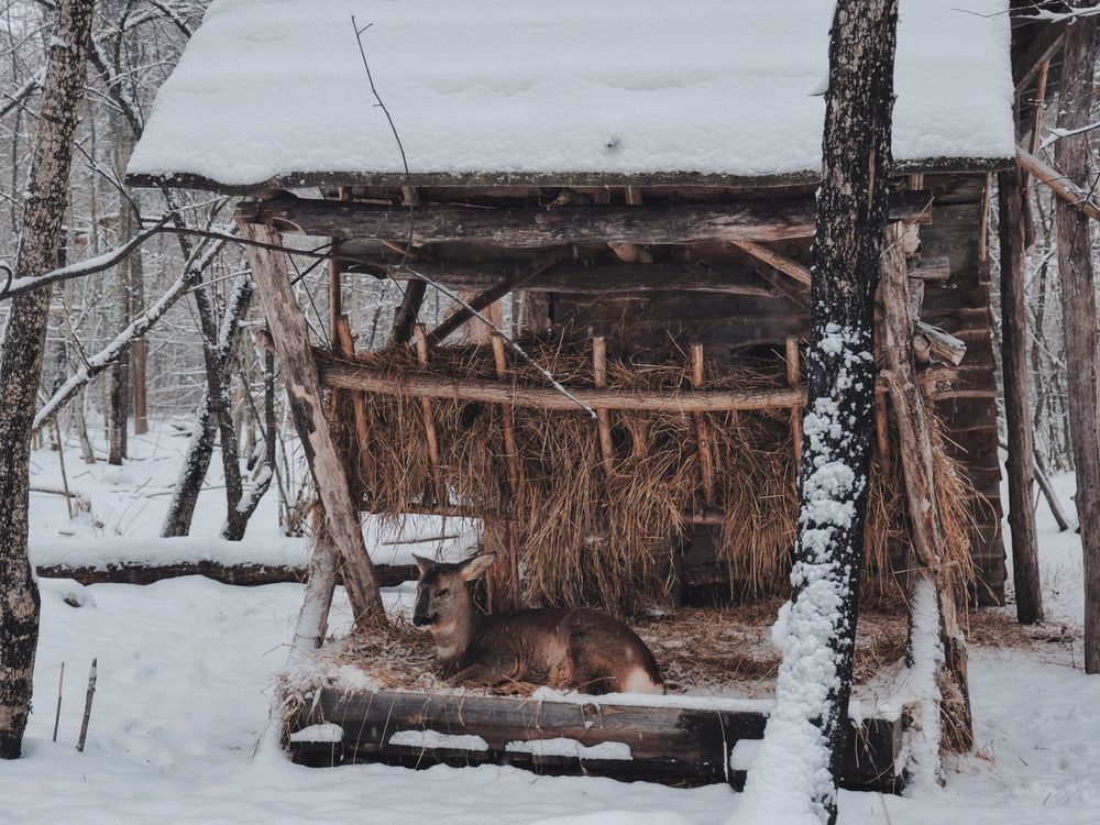 Photograph by Виктория Селютина