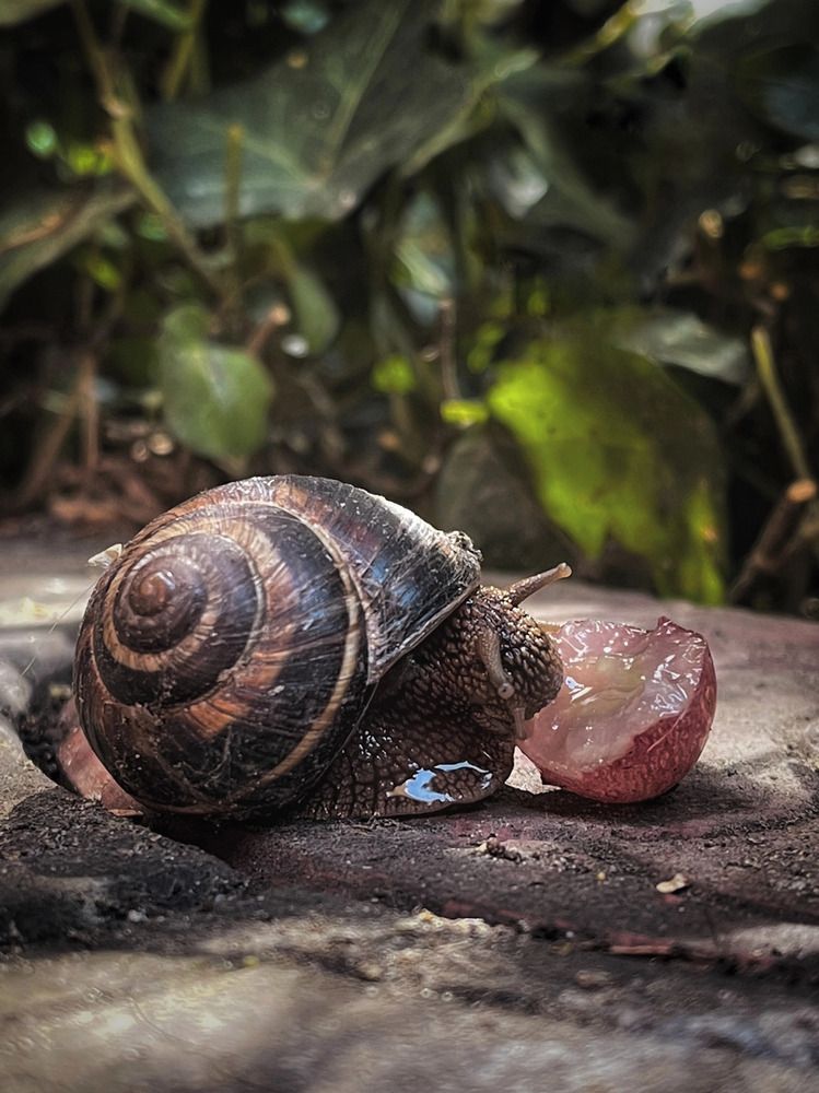 Photograph by Виктория Селютина