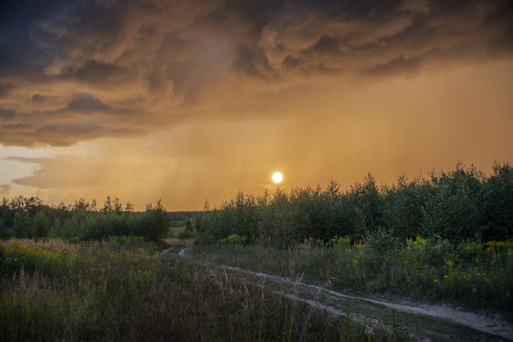 Photograph by Анна Салтыкова